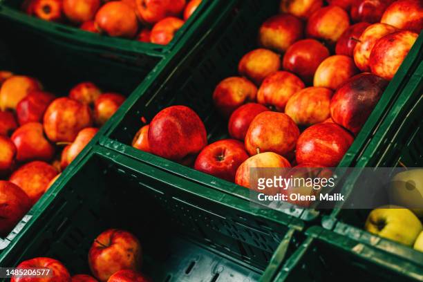 ripe red apples at the street market. natural red backdrop, copy space - apple products stock pictures, royalty-free photos & images