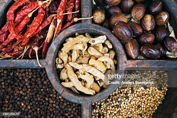 wooden tray with locally grown pepper, dried ginger, chilli and nutmeg. - kerala food stock-fotos und bilder