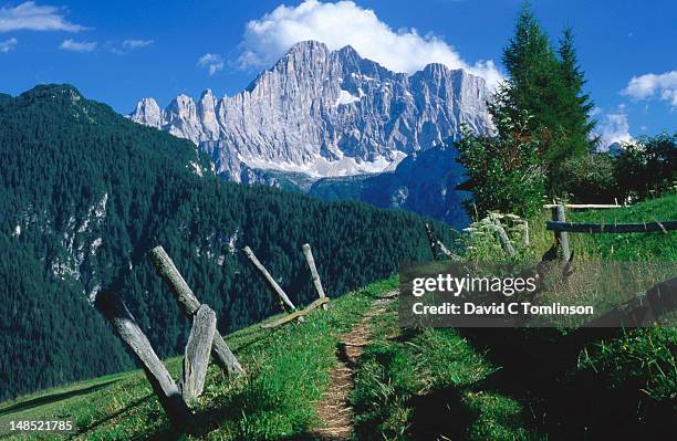 view to mount civetta (dolomites) near alleghe, colle di santa lucia. - colle santa lucia stock pictures, royalty-free photos & images