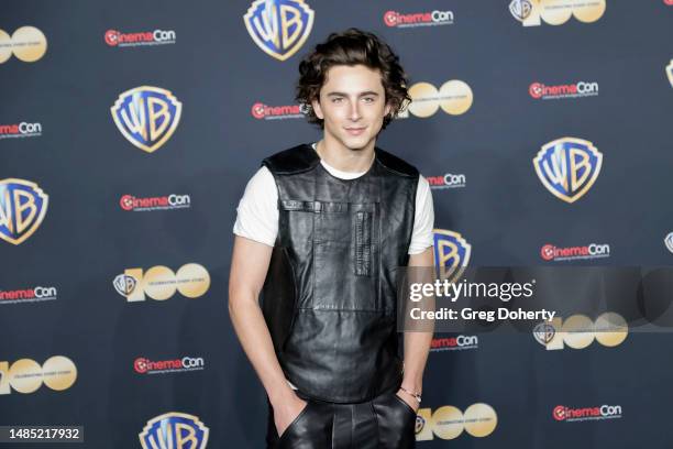Timothee Chalamet attends the red carpet promoting the upcoming film "Dune: Part Two" at the Warner Bros. Pictures Studio presentation during...