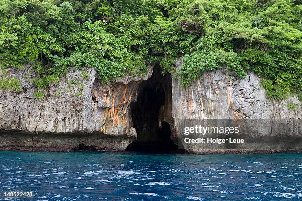 entrance to swallows cave. - cave entrance stock pictures, royalty-free photos & images