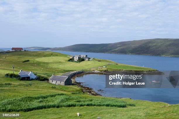 coastal living. - land in sicht stock-fotos und bilder