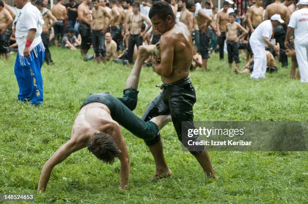 wrestlers at edirne 2008 kirkpinar turkish oil wrestling tournament. - turkish wrestler stock pictures, royalty-free photos & images
