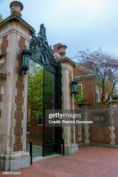 class of 1877 gate, harvard university, cambridge, massachusetts - ivy league universitäten stock-fotos und bilder