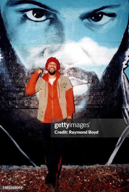 Chicago Rapper Mural Chicago Murals Photos and Premium High Res Pictures - Getty Images