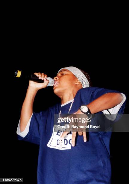 Rapper Lil Bow Wow performs at the Arie Crown Theater in Chicago, Illinois in September 2000.