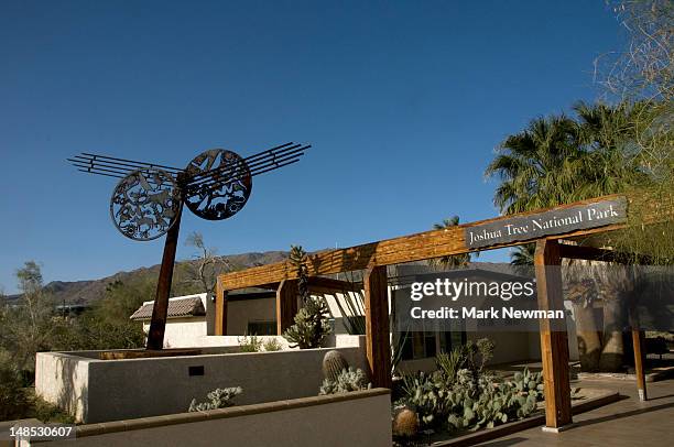 oasis of mara. - mara salvatrucha stock pictures, royalty-free photos & images