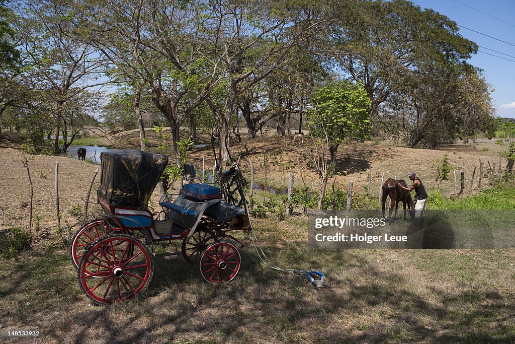 Horse and carriage wash by river.