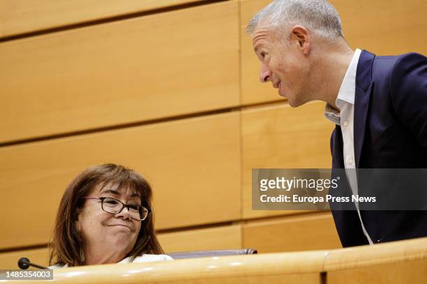 The president of the PSOE and vice-president of the Senate, Cristina Narbona and the president of the Senate, Ander Gil, during a plenary session in...