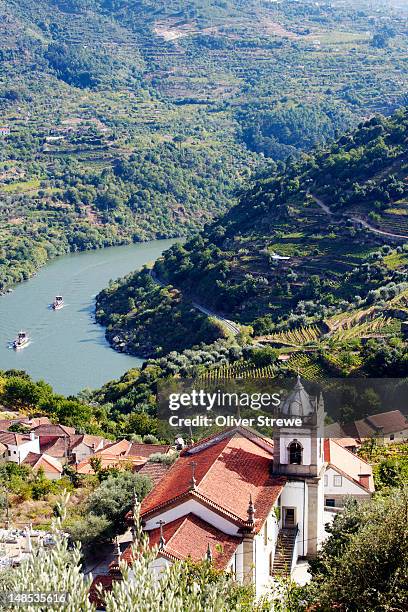 vineyards and village in douro river valley. - douro river bildbanksfoton och bilder