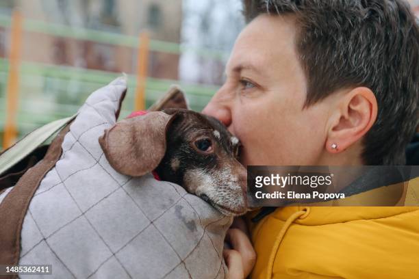 mid adult woman with short hair walking outdoors with disabled dachshund dog, kissing, loving and caring pet - muzzle human stock pictures, royalty-free photos & images