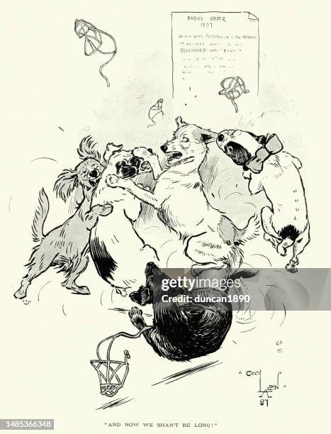 vintage illustration of cartoon, 1897 general rabies order, muzzling of pet dogs, victorian humour, 19th century - rabies stock illustrations