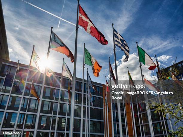 european parliament, eu parliament, flags of european countries backlit, konrad adenauer complex, sunbeamsan quarter kirchberg plateau, luxembourg - kirchberg luxemburg bildbanksfoton och bilder