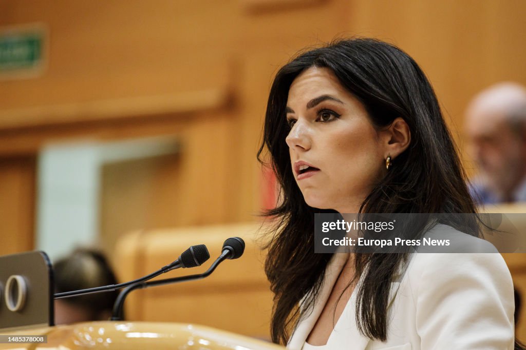 The Senator Of VOX Maria Jose Rodriguez De Millan Speaks During A the-senator-of-vox-maria-jose-rodriguez-de-millan-speaks-during-a