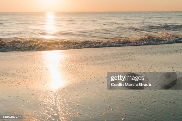 Receding Coastlines Photos and Premium High Res Pictures - Getty Images