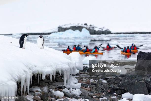 Prospect Point Antarctica Photos and Premium High Res Pictures Getty