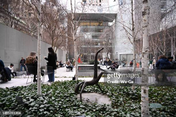 courtyard of the museum of modern art (moma), manhattan, new york city, usa. - sculpture garden stock pictures, royalty-free photos & images