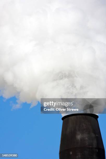 smoke stack from queensland sugar mill. - sugar mill stock pictures, royalty-free photos & images