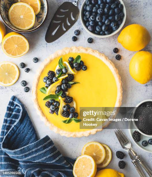 top view of lemon tart with blueberry and blackberry garnish - bluberry imagens e fotografias de stock