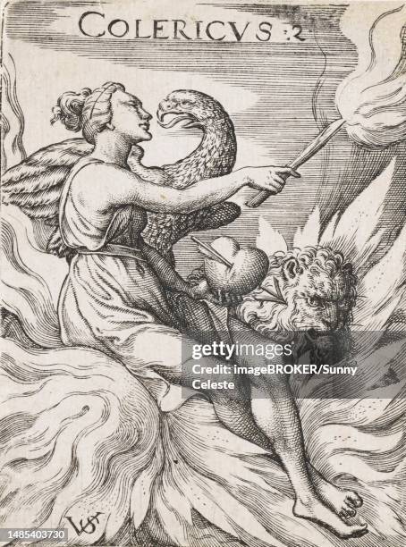 Choleric Visual 44 Choleric Stock Photos, High-Res Pictures, and Images - Getty Images