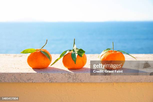 oranges on patio ledge - sorrento italy photos et images de collection