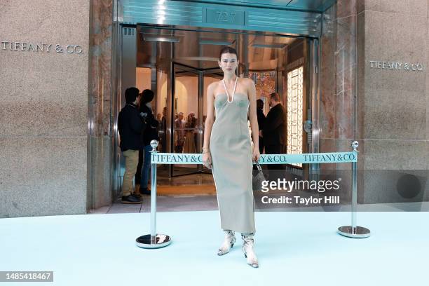 Georgia Fowler attends the ribbon cutting celebrating the reopening of Tiffany & Co's "The Landmark" at 5th Avenue and West 57th Street on April 26,...