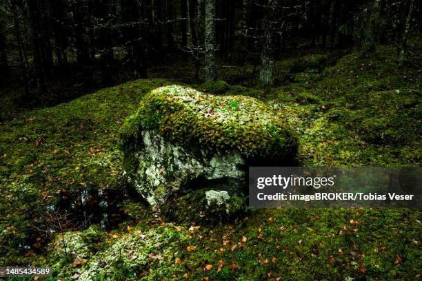 mystical looking large stone, covered with moss, in a small light forest clearing, vaermland, sweden - tristesse stock illustrations