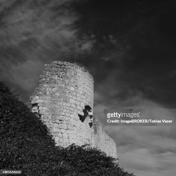 a tower of the castello de iscar rises out of the forest, valladolid, spain - castelo stock-grafiken, -clipart, -cartoons und -symbole