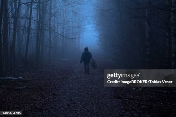 woman walking through the forest at dusk, north rhine-westphalia, germany - tristesse stock illustrations