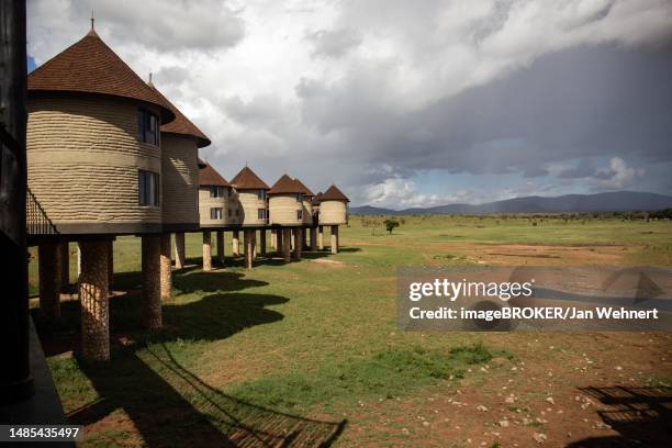 the famous salt lick safari lodge in the taita hills, tsavo, kenya - safari lodge stock pictures, royalty-free photos & images