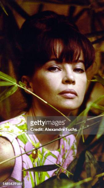 Actress Leslie Caron poses for a portrait behind bamboo while filming the movie "Father Goose" in 1963 in Ocho Rios, St. Ann, Jamaica,