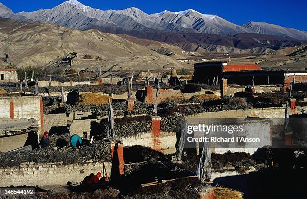 view over the flat rooftops of lo manthang, the capital of upper mustang, situated on a plateau at 8340m. - ローマンタン ストックフォトと画像