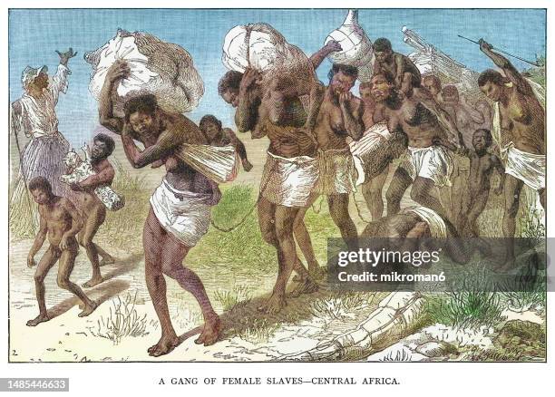 old engraved illustration of a convoys of female slaves, with children, in angola, chained together and carrying heavy bundles - central africa - woman slavery stockfoto's en -beelden