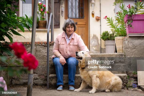 not just a guide dog but also good company - blind woman stock pictures, royalty-free photos & images