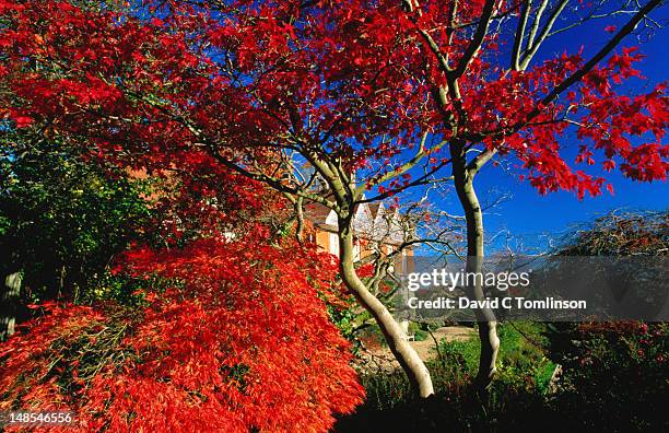 standen house through autumn foliage. - east grinstead imagens e fotografias de stock