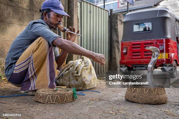 schlangenbeschwörer arbeitet mit seiner schlange auf der straße - kandy kandy district sri lanka stock-fotos und bilder