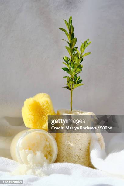 scrub,loofah washcloth and organic sea sponge on the towel - oxalic acid stock pictures, royalty-free photos & images