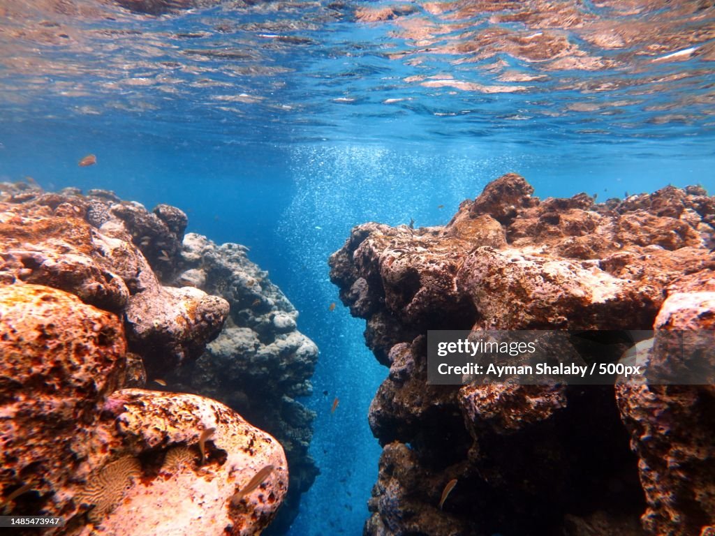High angle view of reef table crack in the red sea,Dahab,South Sinai Governorate,Egypt