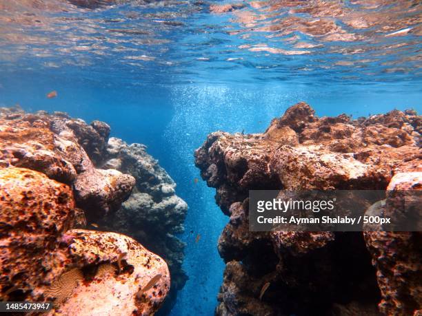 high angle view of reef table crack in the red sea,dahab,south sinai governorate,egypt - tourism in south sinai imagens e fotografias de stock