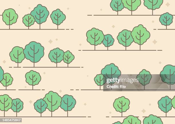 illustrations, cliparts, dessins animés et icônes de seamless tree outdoor forest park wilderness modern background - bordé d'arbres