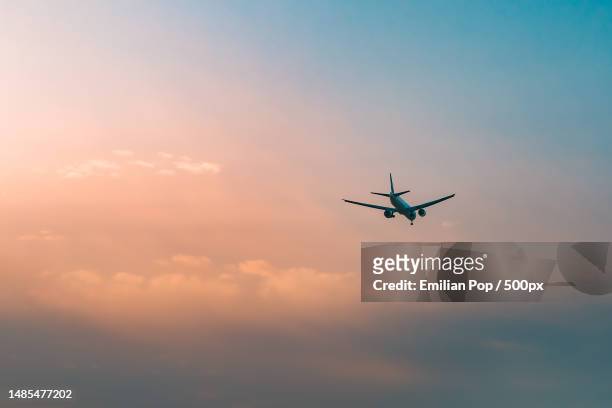 low angle view of airplane flying in sky during sunset,romania - plane in sky stock pictures, royalty-free photos & images