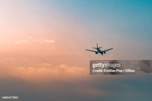 low angle view of airplane flying in sky during sunset,romania - airplane sky - fotografias e filmes do acervo