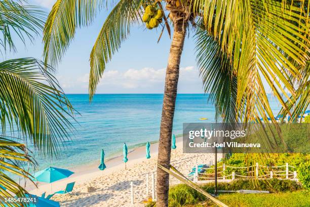peaceful beach day at grace bay in turks and caicos. - turks and caicos stock pictures, royalty-free photos & images