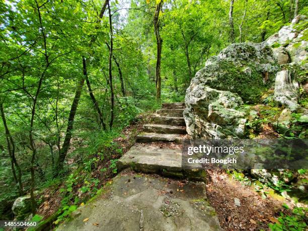 sentiero escursionistico a hot springs arkansas in estate - arkansas foto e immagini stock