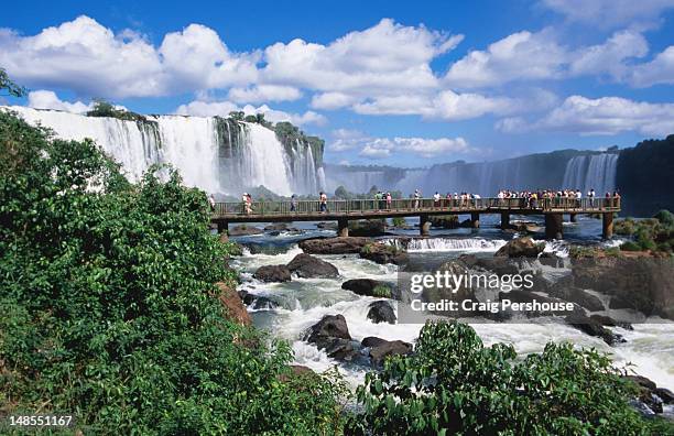 tourists walking along catwalk before iguacu falls. - iguacufälle stock-fotos und bilder