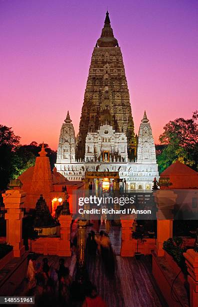 mahabodhi temple at dusk. - ブッダガヤー ストックフォトと画像