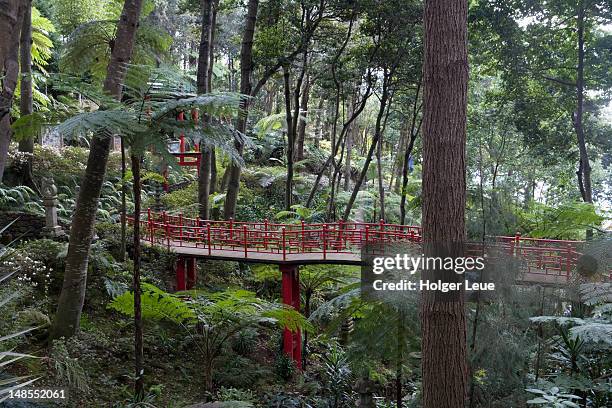 monte palace tropical garden. - palazzo reale foto e immagini stock