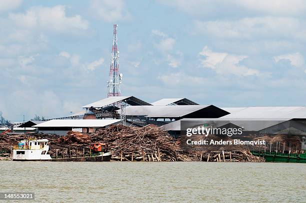 waste wood piled up by sawmill on batang rejang river near sibu. - sibu river stock pictures, royalty-free photos & images