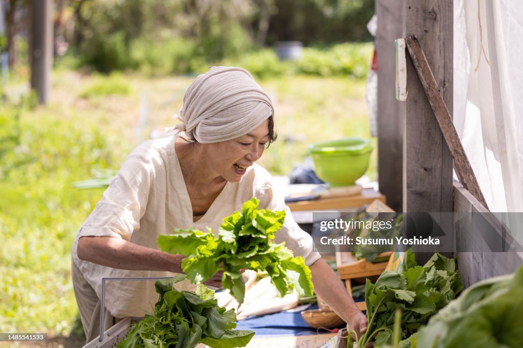 No-till organic farm and direct sales area.