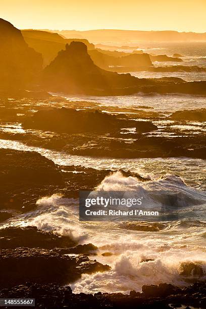 phillip island coastline. - phillip island stock pictures, royalty-free photos & images